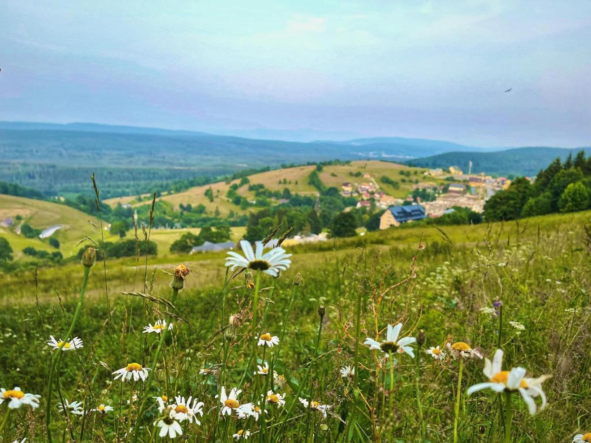 Отель Skalka Zieleniec Душники-Здруй Экстерьер фото